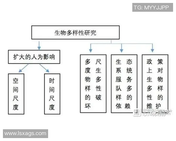 全面解析足球评分体系及其对比赛分析的影响与应用