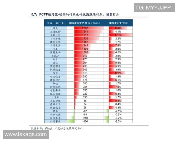 南京飞盘队的成功运营模式与发展策略深度解析