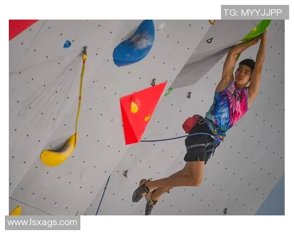 攀岩个人能力排行榜揭晓上海攀岩队荣获第九名佳绩引关注