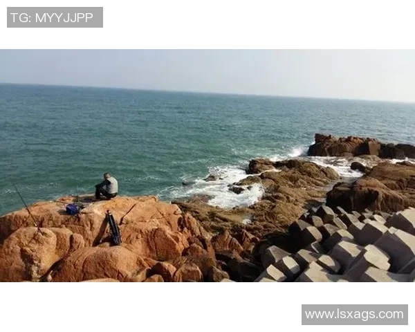 杭州极限运动队与武汉极限运动队赛后状态分析与表现评估