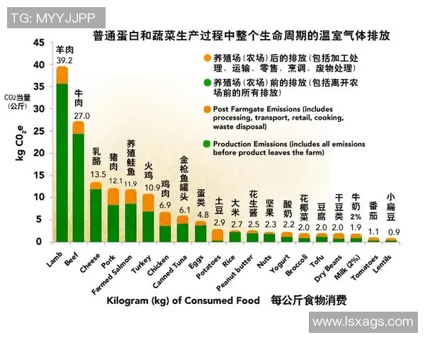 素食足球的崛起：健康饮食与运动结合的新趋势探讨